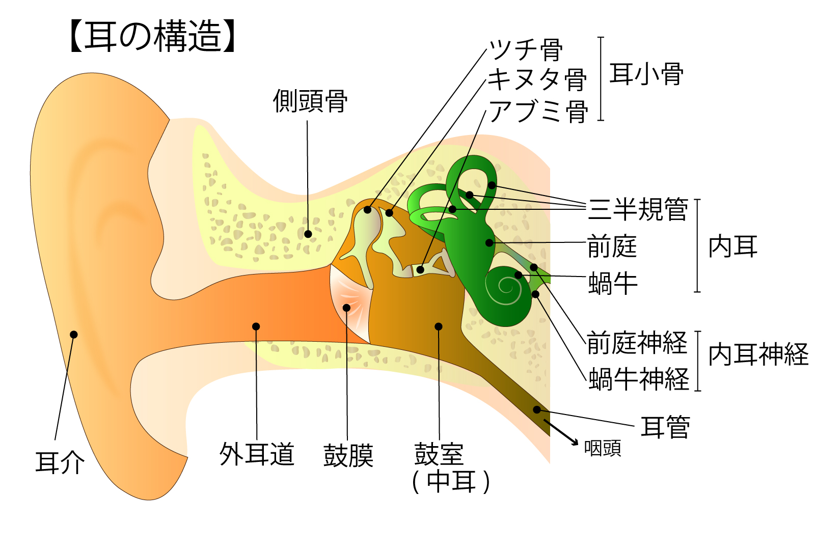 めまい　福岡市