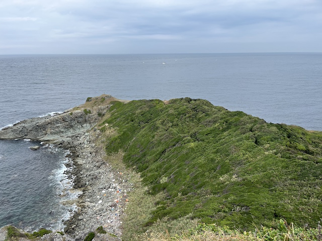 福岡　大島