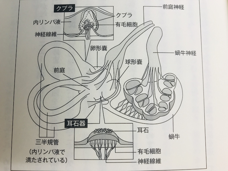 めまい　福岡市