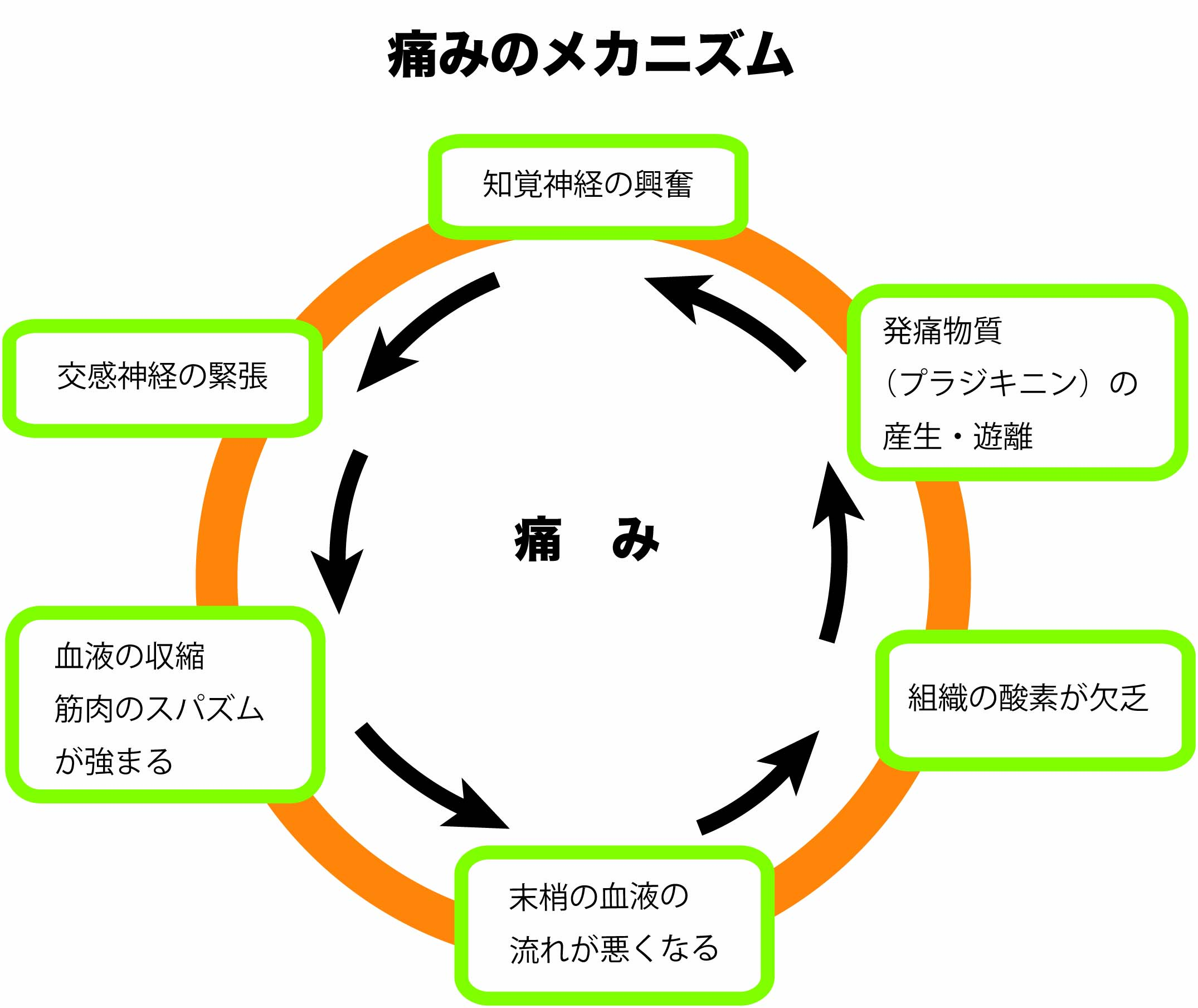 痛みのメカニズム1