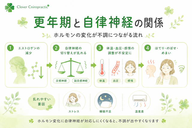 更年期ほてり・のぼせの仕組み 更年期ほてり・のぼせの仕組み