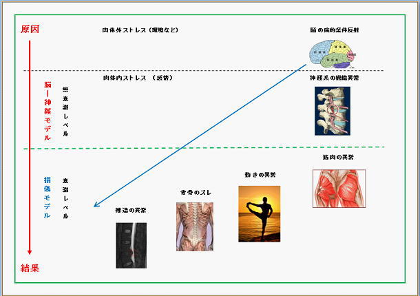 原因と結果