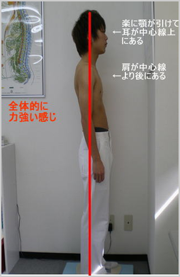 整体後
